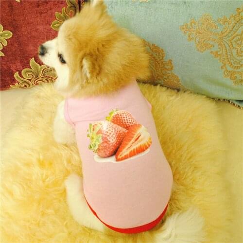 Cute Yorkshire Terrier Chihuahua Dog Clothes Puppy Summer Clothes Kong Dog Clothes for Small Dogs Clothing for Cats Pet Products