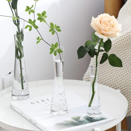 Nordic Simple Transparent Glass Vase Mini Flowers Hydroponic Arrangement Small Vase Living Room Table Accessories Flower Vases