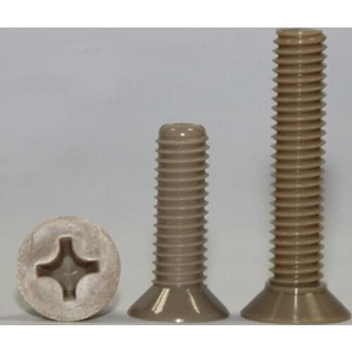 2PCS Phillips Screw Countersunk Head Screws High Temperature Resistance Peek Bolts M2 M3