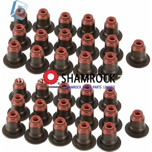 Valve Stem Seal Kit OEM 11340029751 / 123728101 / 199440 fits for BBMW 545i 550i 645Ci 650i 745i 745Li 750Li X5 X6 Alpina 120i