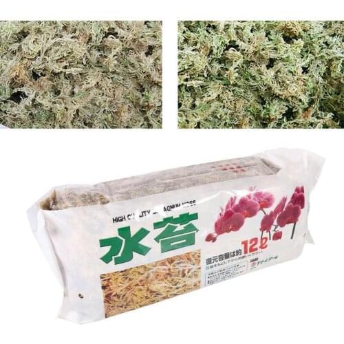 12L Sphagnum Moss Moss Sphagnum Nutrition Organic Fertilizer Supplies Garden For Orchid Phalaenopsis Musgo Sphagnum Flower R1Z5