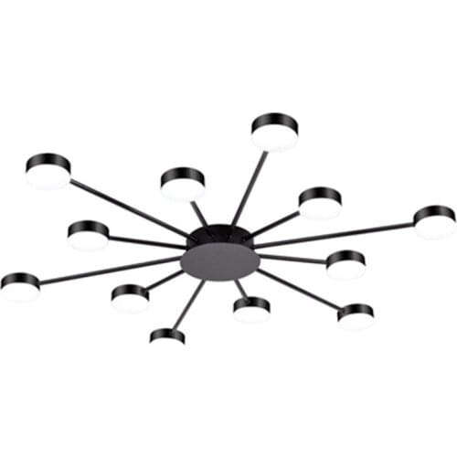 Novelty Metal Irregular Ceiling Lights For Foyer Black Ceiling Lamp Golden Surface Mounted Bedroom Lighting Fixture