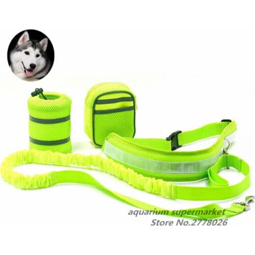Hands Free Pet Dog Cat Running Jogging Padded Waist Belt Reflective Strip Elastic Leash Perfect Walking Training Dog Set