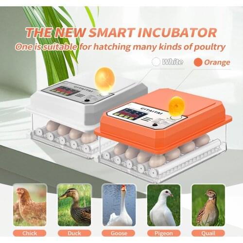 Incubator Eggs 16 Chicken Eggs Brooder Fully Automatic Farm Bird Quail Hatchery Incubator Poultry Hatcher High Hatchability