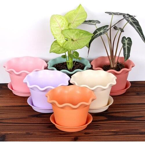 Resin Solid Color Green Succulent Plants Flower Pot with Tray Garden Planter Holder Flowerpot Kit Home Office Cafe Decor