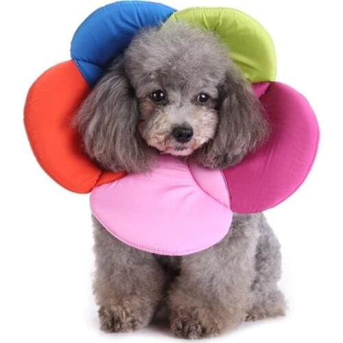 Pet Cat Dog Flower Neck Collars for Dogs Cats Wound Healing Protection Dog Cat Collars Anti-Bite Neck Cone Recovery Circle