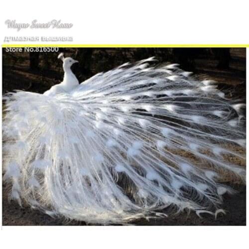 New 5D Rhinestones Diy Diamond Painting Cross Stitch Full Drill Square Resin Mosaic Diamond Embroidery Needlework White Peacock