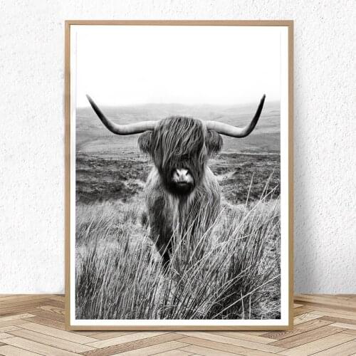 Nordic Black and White Highland Cow Print Farmhouse Decor Wall Art Canvas Painting Animal Posters Bedroom Home Decor Pictures