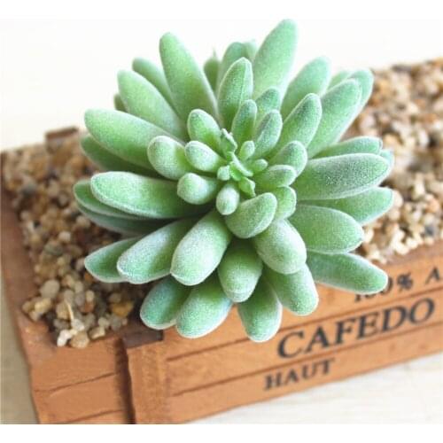 Home Garden Bedroom Living Room Decoration Green Artificial Succulents Plants Bonsai Flower Arrangement Accessories Fake Plants