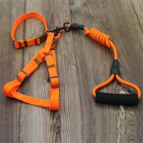 Dog leash Nylon Pet Leash for dog & cat Running or Training Collar and Harness 005