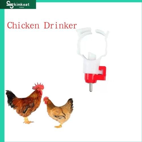 100Pcs White 3/4 Pipe Automatic drinker for chicken Automatic poultry drinker Cassette ball valve Drinker for Chicks
