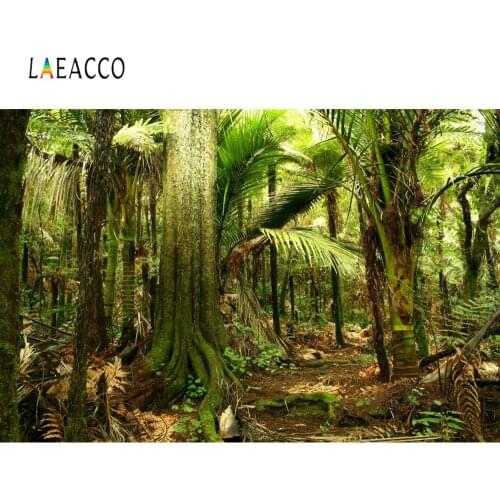 Laeacco Tropical Rain Forest Jungle Palms Tree Scenic Photographic Backgrounds Photography Backdrops For Photo Studio