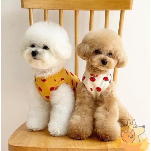 Cat Dog Vest Puppy Shirt Small Dog Clothes Outfit Yorkshire Pomeranian Bichon Frise Poodle Schnauzer Clothing Pet Apparel Pajama