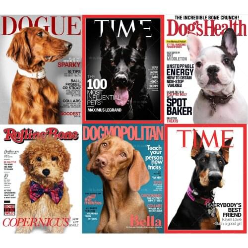 Home Decor Canvas Print | Magazine Covers | Pet Portraits | Pet Art | Dog Poster