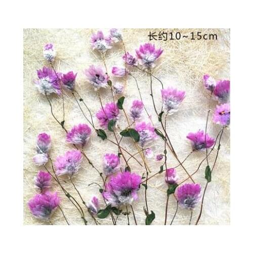 10pcs/lot with Branch Preserved Flower Dried Flowers for Diy Pressed Flower Craft Card Bookmark