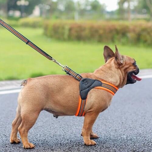 Pet Large Dog Harness Leash Suit Explosion Okinawa Reflective Collar Puppy Pet Products Dog Accessories Fashion Leash
