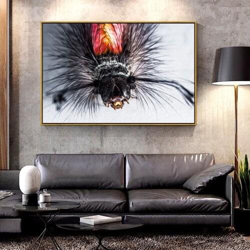 Artcozy Oil Canvas Painting caterpillar_hairs_macro_insect For Home Decoration Wall Art