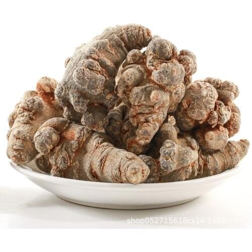 NOTOGINSENG ROOT NOTOGINSENG RADIX SAN QI TIAN QI