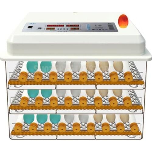 Incubator Incubator Small Household Automatic Intelligent Incubator Mini Chicken Duck Goose Pigeon Quail Incubator