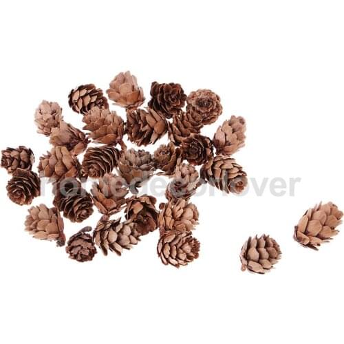 30 Pieces Real Natural Small Pine Cones In Bulk For Accents Ornament Christmas Home Party Craft Decorations Beautiful