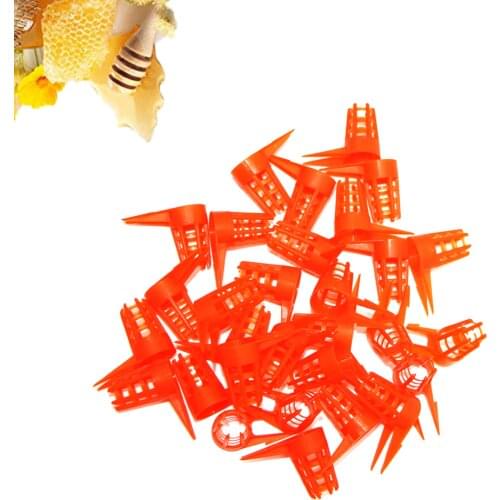 10pcs Beekeeping Cells Plastic Bee Queen Cages Cell Cover Cap Protective Cellular Supplies Protection Rearing System