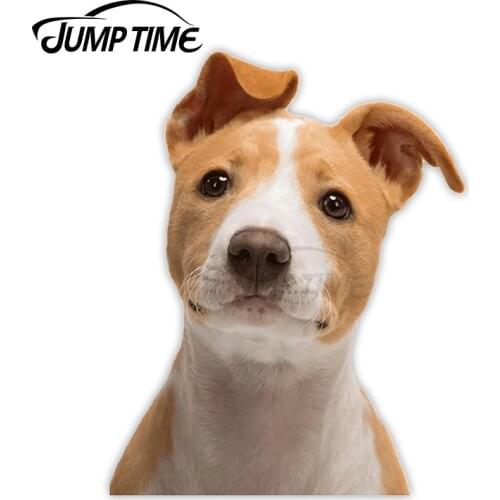 JumpTime 13 x 6.8cm For Jack Russel cute Dog Peek Peeking Peekers Window Vinyl Car Bumper Funny Cute Kids Cartoon Puppy Stickers