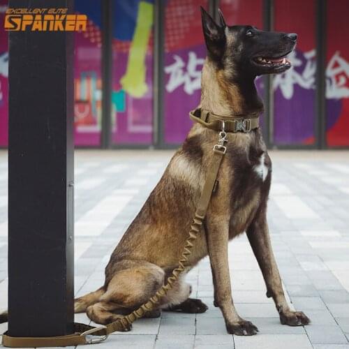 EXCELLENT ELITE SPANKER Dog Collars and Dog Leash Suit Training Prevent Pet Loss of 1.5" Collars and Leashes Handles Adjustable