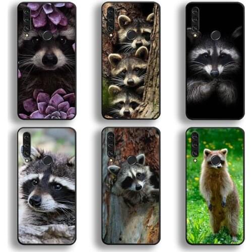Animal Raccoon Phone Case Huawei Y6P Y8S Y8P Y5II Y5 Y6 2019 P Smart Prime Pro