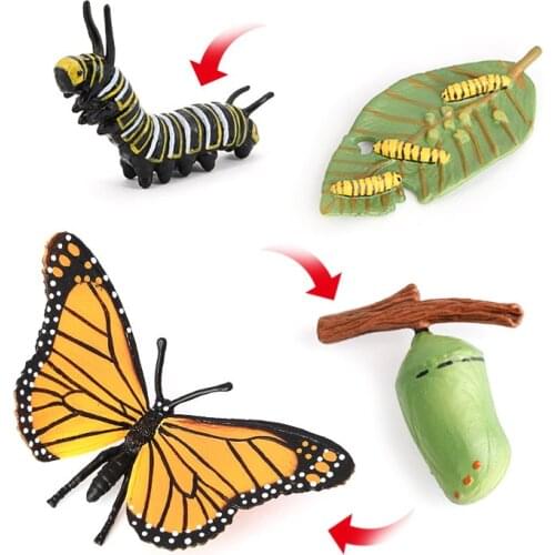 Montessori Simulation Animals Butterfly Growth Cycle Model insect Action Figures Figurine Cute Kids Baby Toy Figures Educational