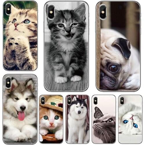 Case For Doogee N20 Y9 plus X70 X60L X55 X53 X50 L X30 X20 L N10 Y7 Y8C Y8 Cat dog animal cute Soft TPU Silicone phone cover