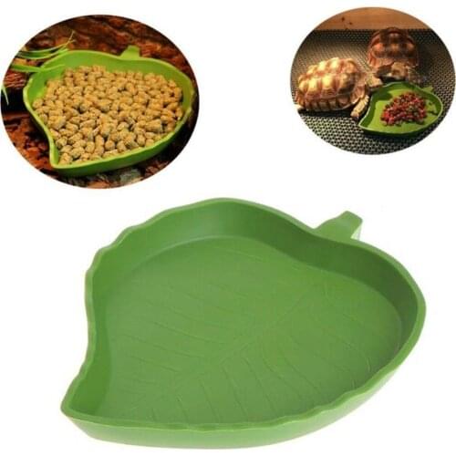 Amphibians Reptiles Feeder Plastic Reptile Terrarium Feeding Basin Tortoise Lizard Crawler Bowl Basin Water Fountain for Turtles
