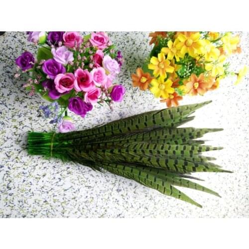 Wholesale perfect 10pcs high quality natural Male Pheasant feathers 14-16inch/35-40cm Decorative diy green