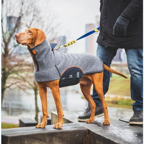 Turtleneck Wind-proof Jacket Casual Dog Clothing Outdoor Warm Wear Pet Outwear Dog Coat Cotton Padded Cloth
