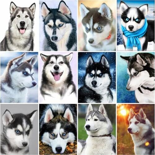 DiyDiamond Thorn Husky Diamond Painting Square/round Diamond Embroidery Stone Diamond Mosaic Animal Cross Stitch Home Decoration