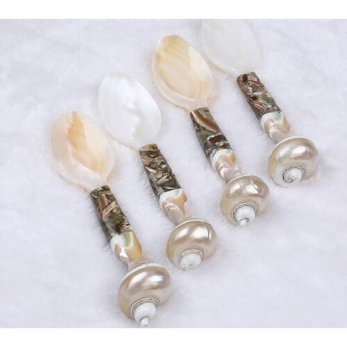 Natural Shell Delicate Household Kitchen Tableware Sea Snail Shaped Spoon Ice Cream Coffee Spoon