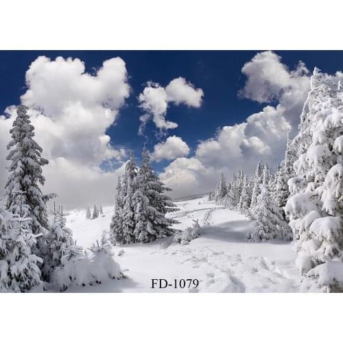 Snow snow pine Forest ski resort landscape photography studio photo background