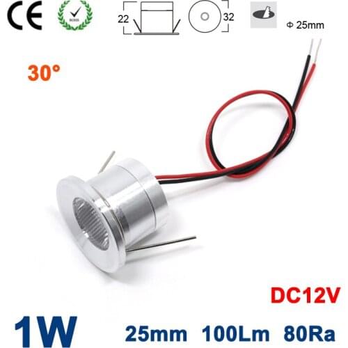 24pcs 1W 100Lm DC12V 80Ra 25mm 30 Degree Mini Led Spotlight for Garden Outdoor Party Lighting CE RoHS