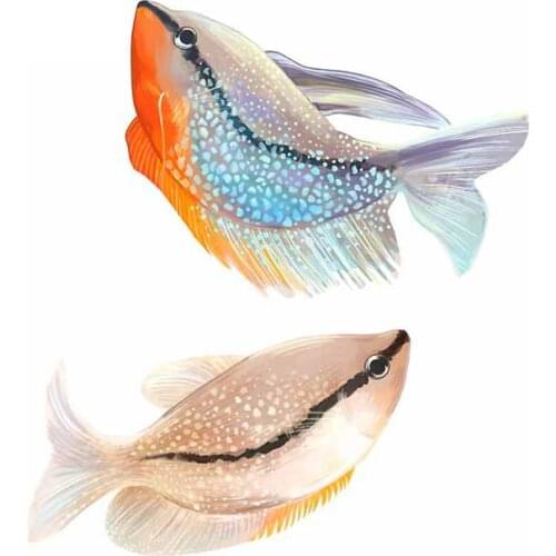 Beautiful Vinyl Car Wrap for Pearl Gourami Funny Car Stickers Occlusion Scratch Graffiti Decal Laptop Decoration