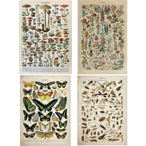 DesertCreations Wall Paintings
