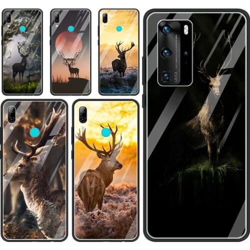 Glass Case For Huawei P30 P40 P20 P10 Lite Pro Plus P Smart 2019 2020 2021 Silicon Back Shell Deer Hunting Camo