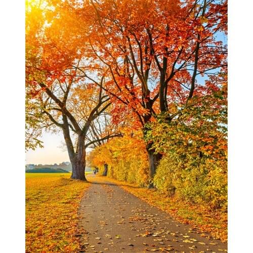 VinylBDS Natural Scenery Photography Backdrop Autumn Defoliation For Outdoor Wedding Photography Background Camera Fotografica
