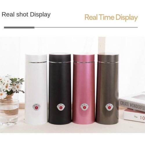 110/220V Kettle Electric Kettle Portable Kettle Dormitory Student Insulation Integrated Kettle Boiling Cup Travel Electric Kettl