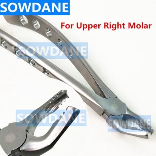 Stainless steel Dental Adult Teeth Extraction Plier for Upper Molar Right Surgical Toothdental Orthodontic Instrument Tool