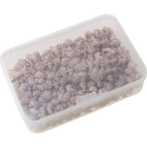 Natural Conch Shell Mini Conch Corn Screw Wall Decor Aquarium Landscape Seashell 652B