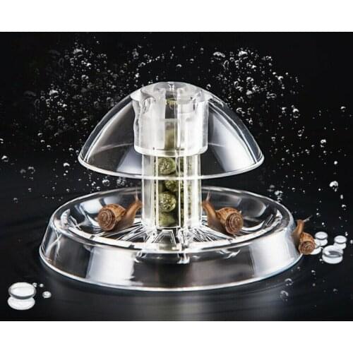 Aquarium Accessories Plastic Snail Trap Catcher Leech Planaria Pest Catch Box Aquarium Environment Clean For Aquarium Cleaning