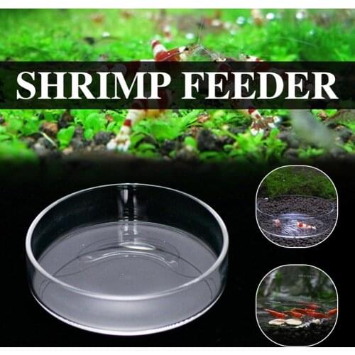 Transparent Shrimp Feeding Dish Shrimp Feeder Bowl Cup Basin Tray Acrylic Container
