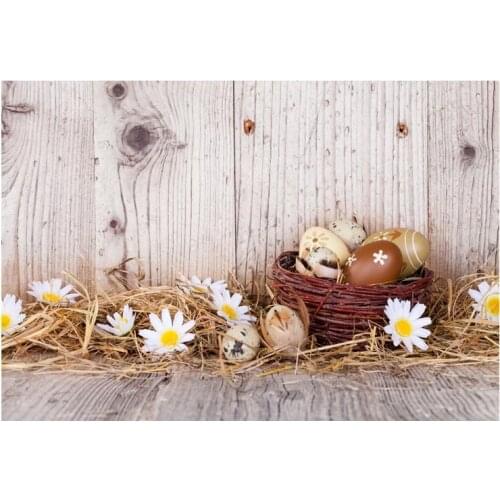 Retro photo shots Easter egg backgrounds photography vinyl baby photo backdrops for photographer Studio kits fotografia GE-146
