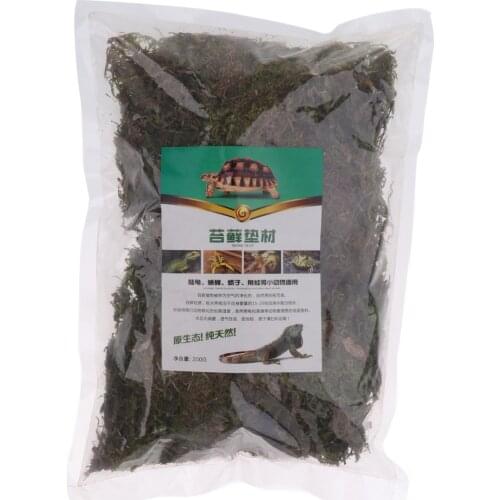 Natural Green Moss Terrarium Plant Moss Fern Pet Reptile Habitat Decoration