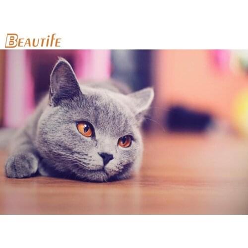 Custom Blue cat Knowles Cloth Silk Fabric poster Home Decoration Wall Art New Cloth Silk Fabric wall poster print