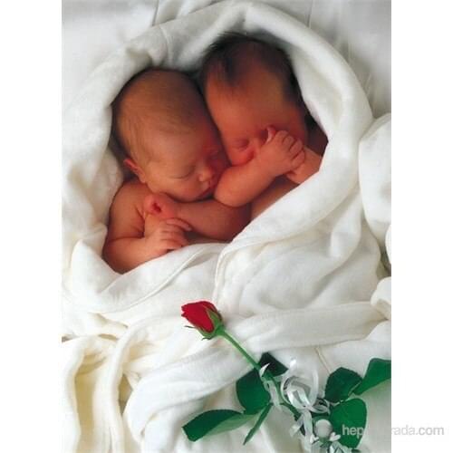 Schmidt 1000 Piece Jigsaw Puzzle Milly Natalie Anne Geddes